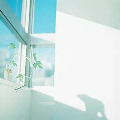 绿色制氢设备供应商竞争力透视:...